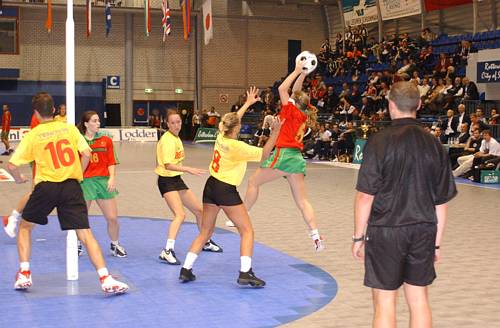 031102_3930.jpg 34569 byte