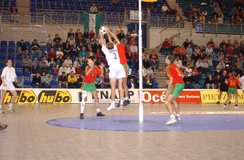 031104_4035.jpg 37289 byte