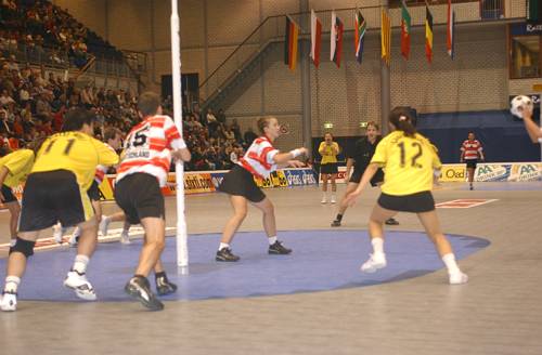 031104_4155.jpg 27743 byte