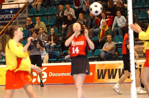 031105_4379.jpg 36900 byte