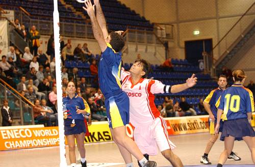 031105_4476.jpg 36900 byte