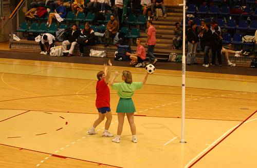 031108_5016.jpg 28285 byte