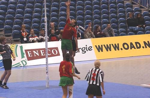 031108_5157.jpg 39883 byte