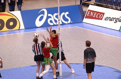 031108_5159.jpg 30900 byte