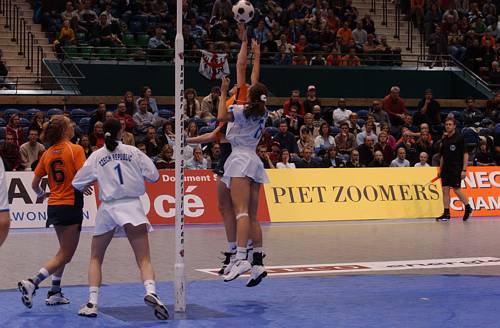 031108_5320.jpg 35537 byte