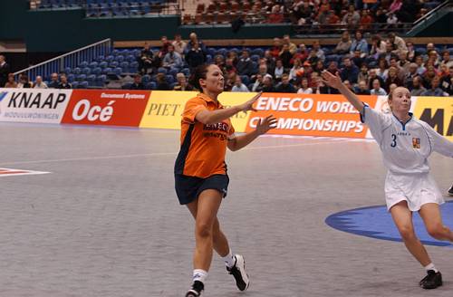 031108_5364.jpg 28963 byte