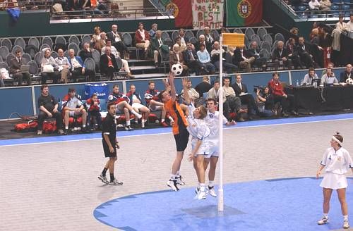 031108_5383.jpg 41980 byte