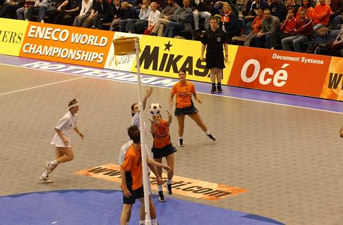 031108_5391.jpg 35140 byte