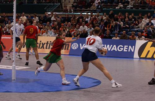 031109_5484.jpg 33100 byte