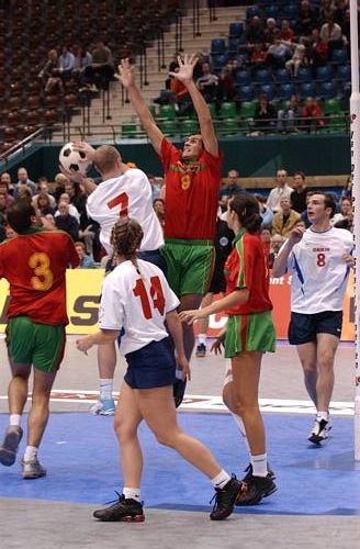 031109_5494.jpg 44060 byte