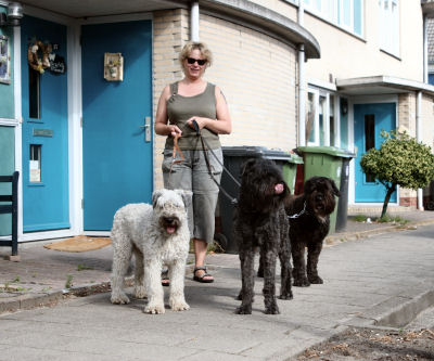 klaar voor de wandeling.
