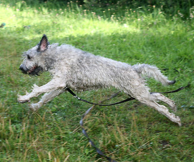 run baby..