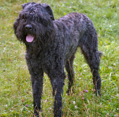 onze Rowan..